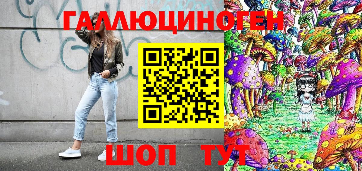 Псилоцибиновые грибы Cubensis Сертолово